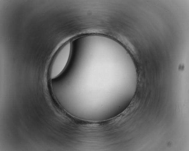 X0000103240108200808281043