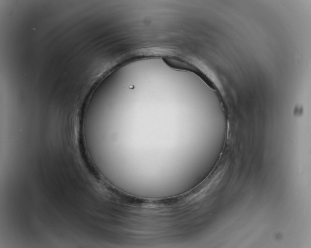 X0000103240109200808281042