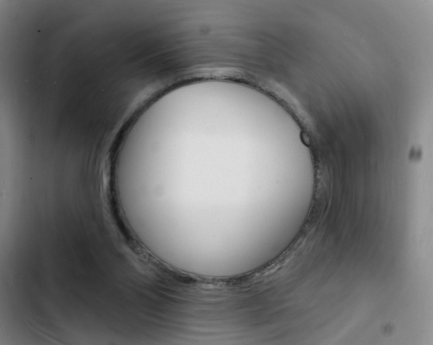 X0000103240110200808281042