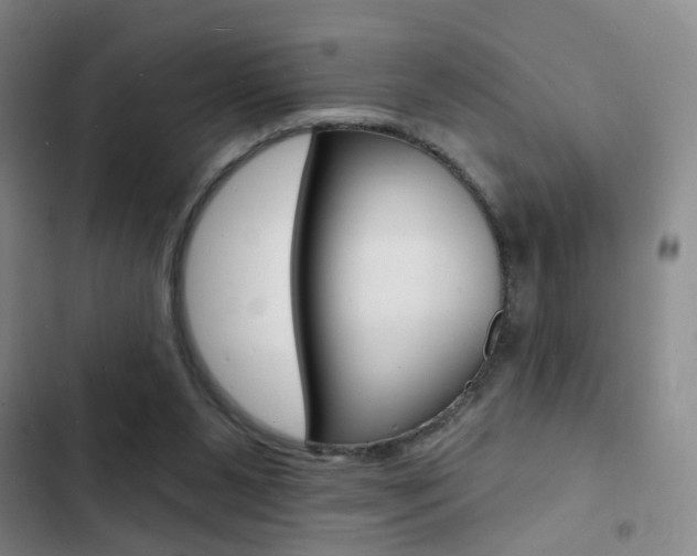 X0000103240111200808281042
