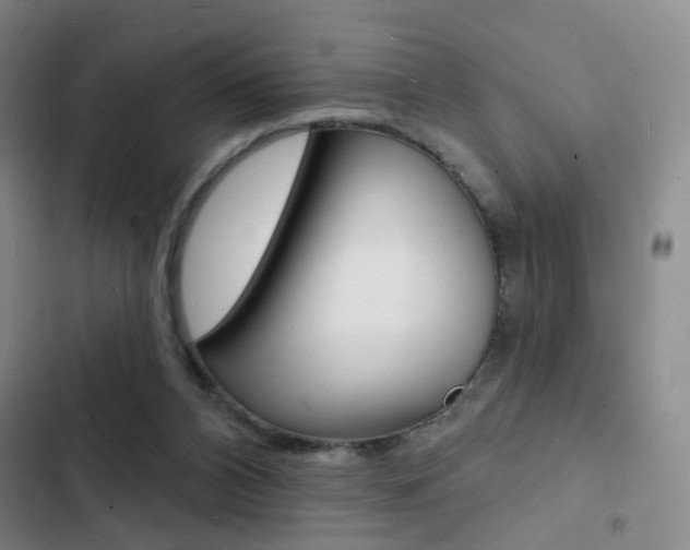 X0000103240112200808281042