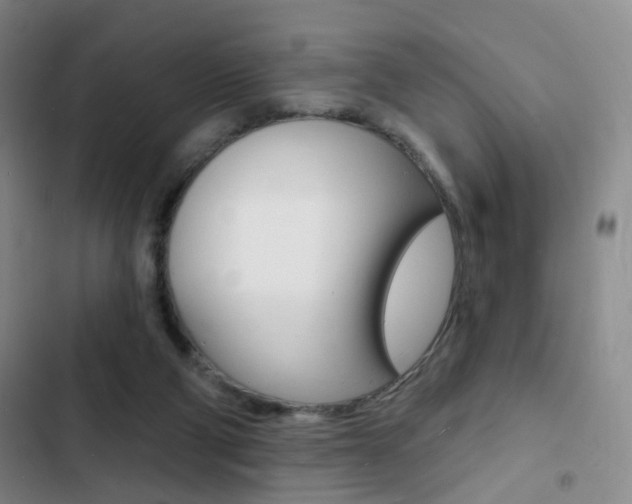X0000103240114200808281042