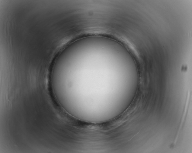 X0000103240115200808281042