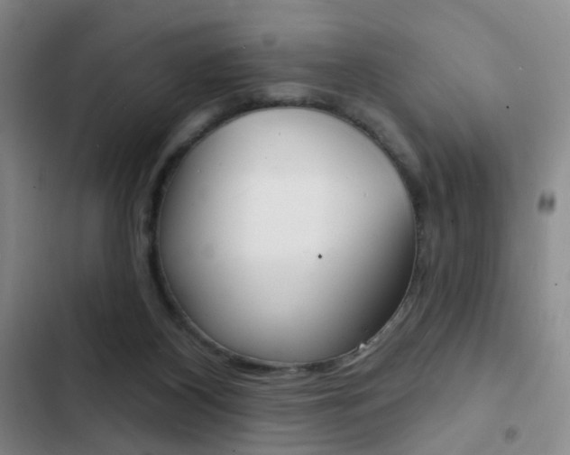 X0000103240116200808281042