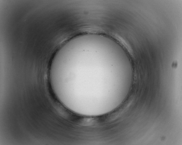 X0000103240117200808281042
