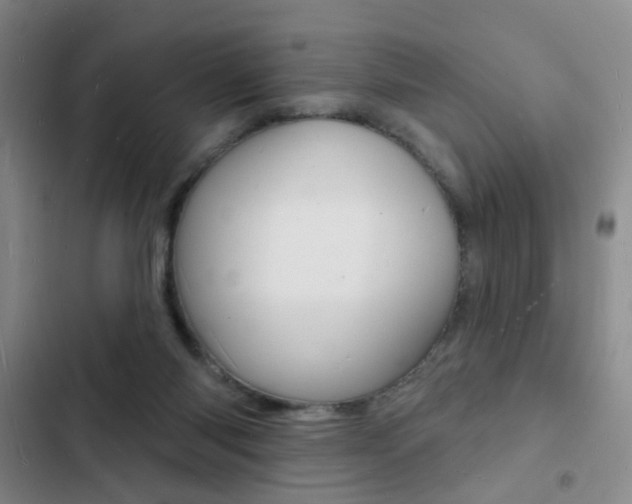 X0000103240118200808281042