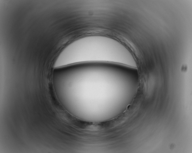 X0000103240119200808281042