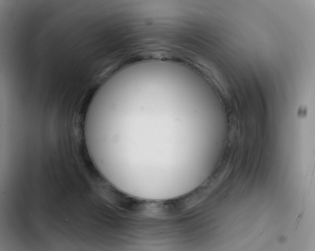 X0000103240121200808281042