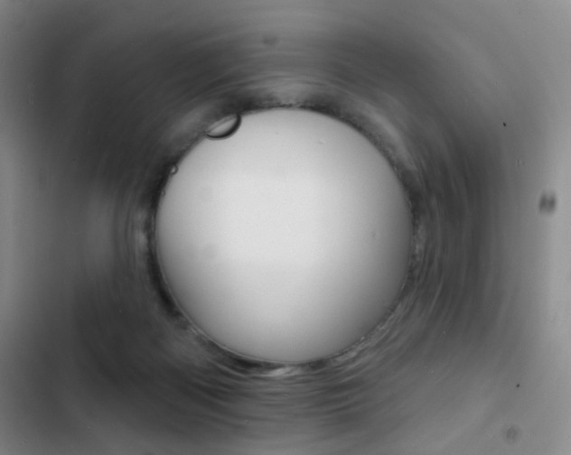 X0000103240122200808281042