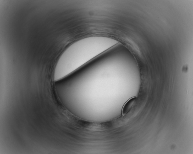 X0000103240123200808281042