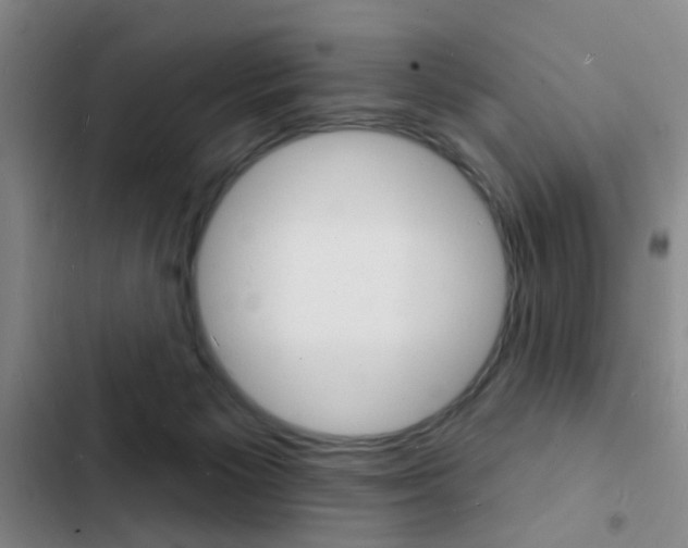 X0000103240125200808281042