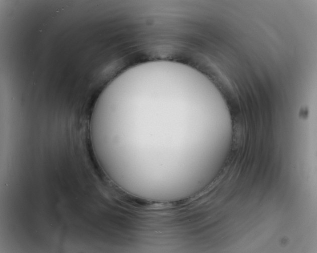 X0000103240126200808281042