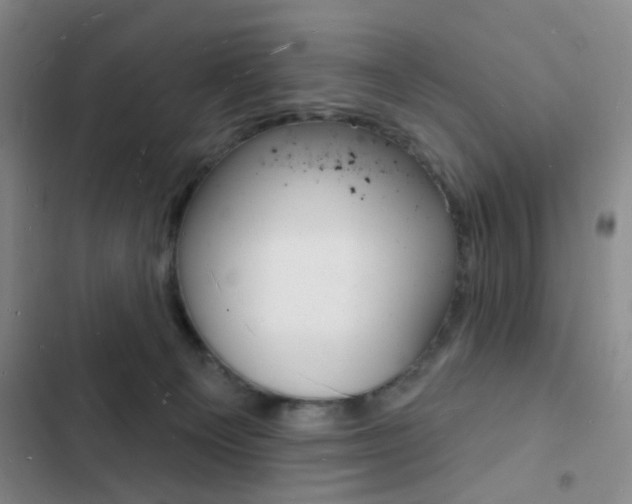 X0000103240129200808281042