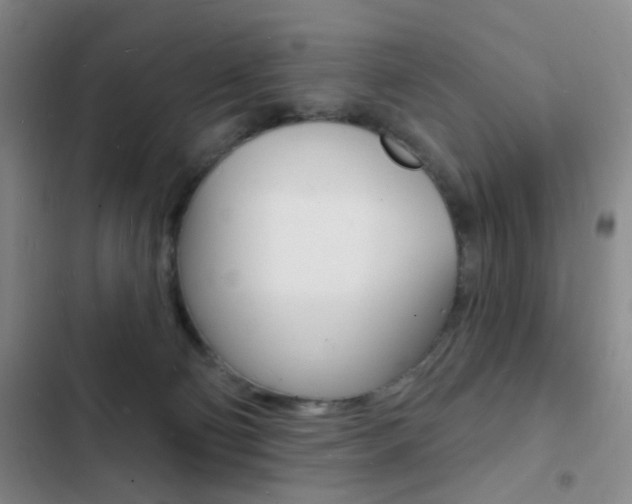 X0000103240130200808281042