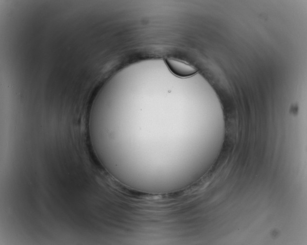 X0000103240131200808281042