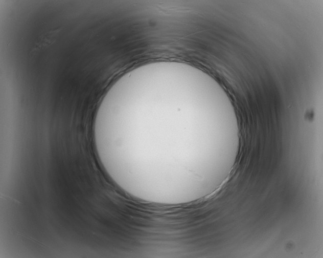 X0000103240132200808281042