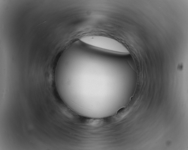 X0000103240135200808281042
