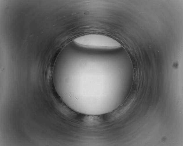 X0000103240137200808281042