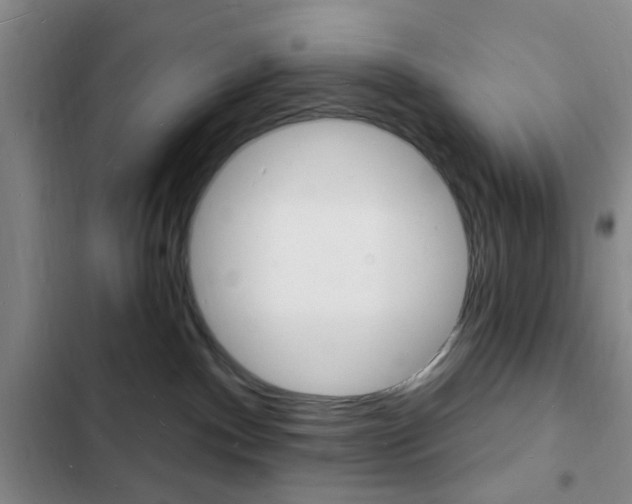 X0000103240140200808281042