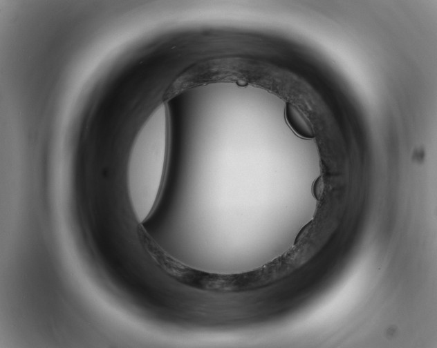X0000103240143200808281042