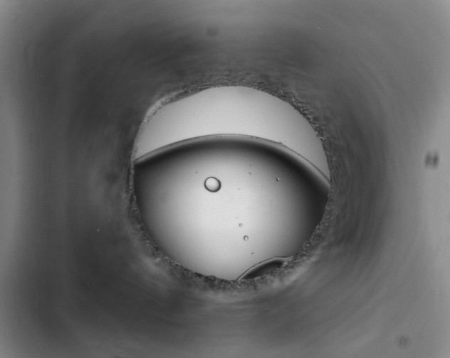 X0000103240144200808281042