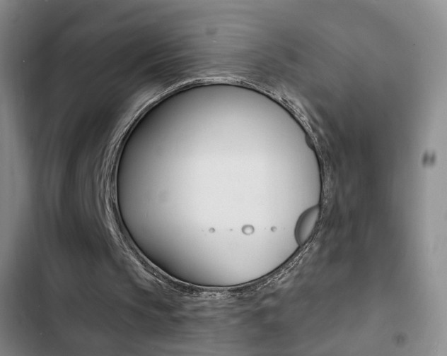 X0000103240145200808281041