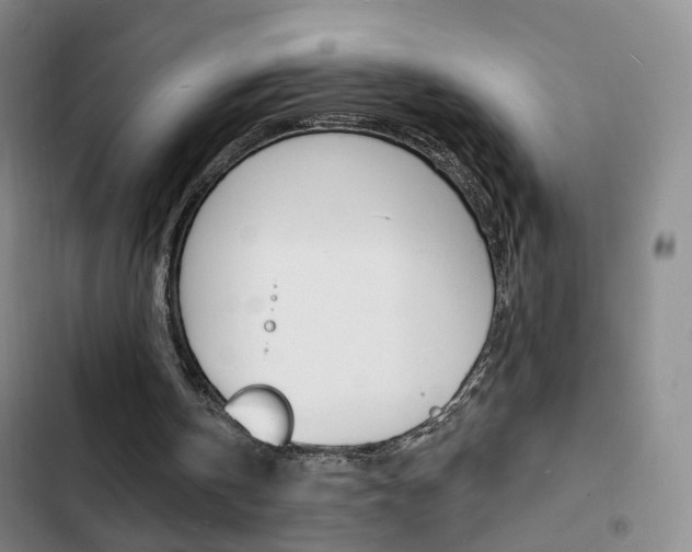 X0000103240146200808281041