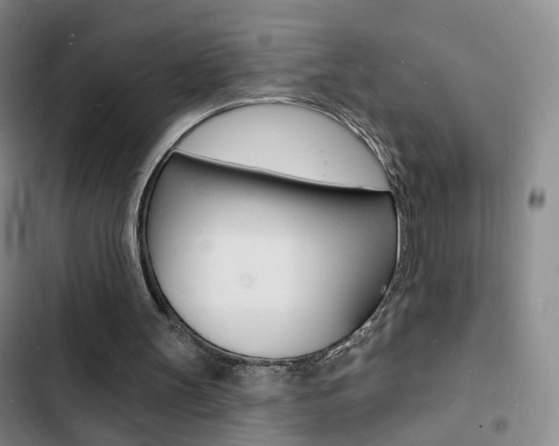 X0000103240147200808281041