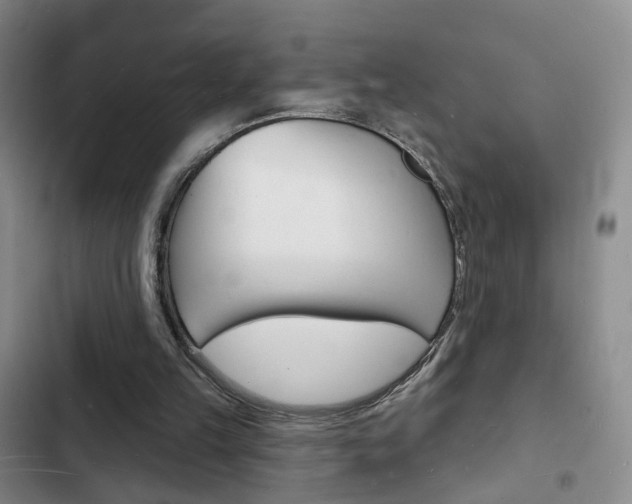 X0000103240149200808281041