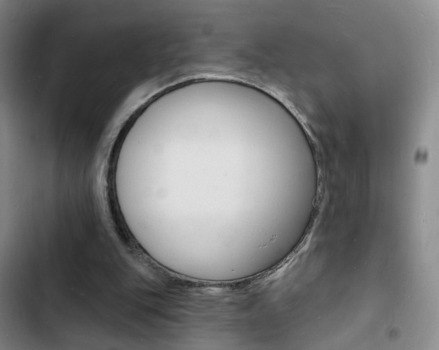 X0000103240151200808281041
