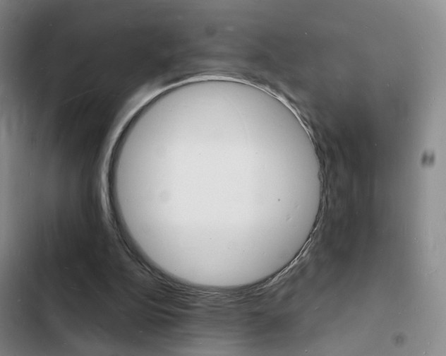 X0000103240152200808281041