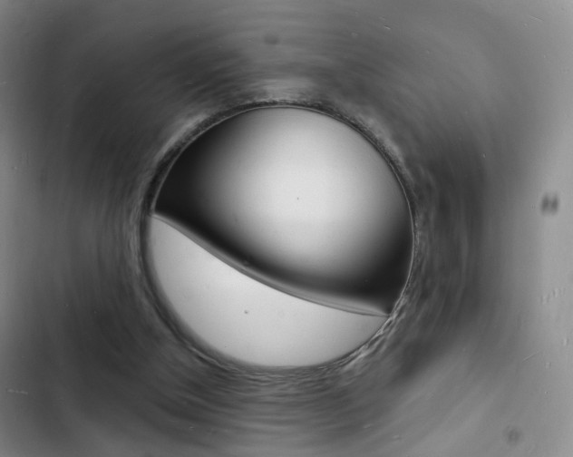 X0000103240154200808281041