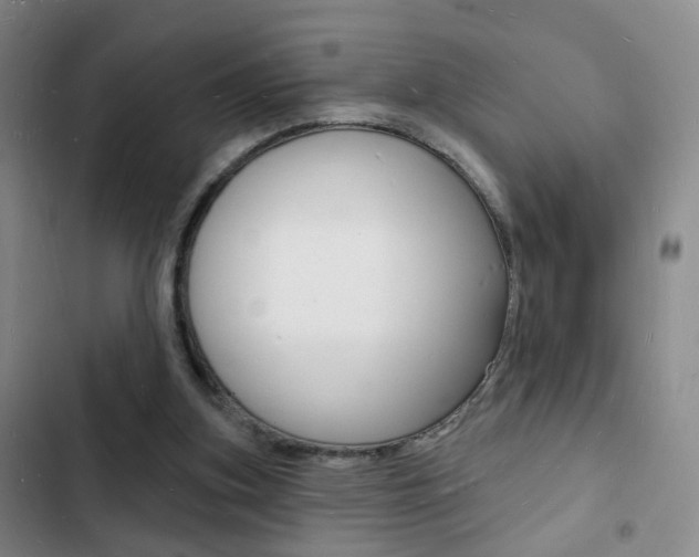 X0000103240155200808281041