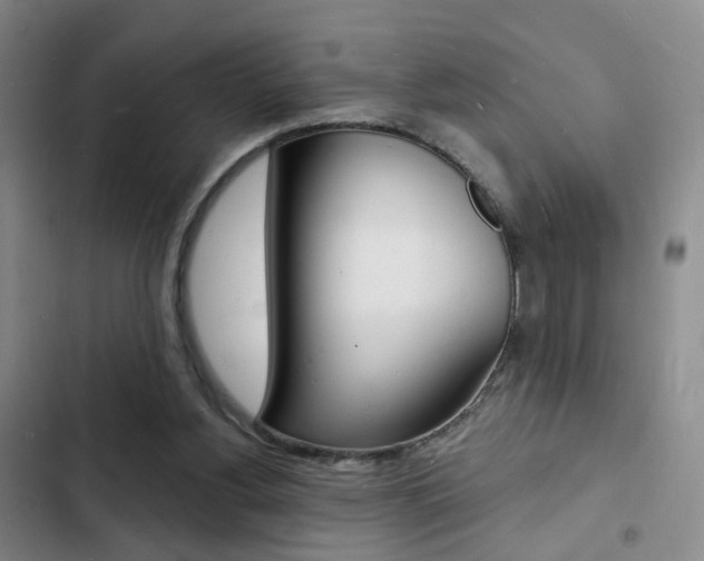 X0000103240156200808281041