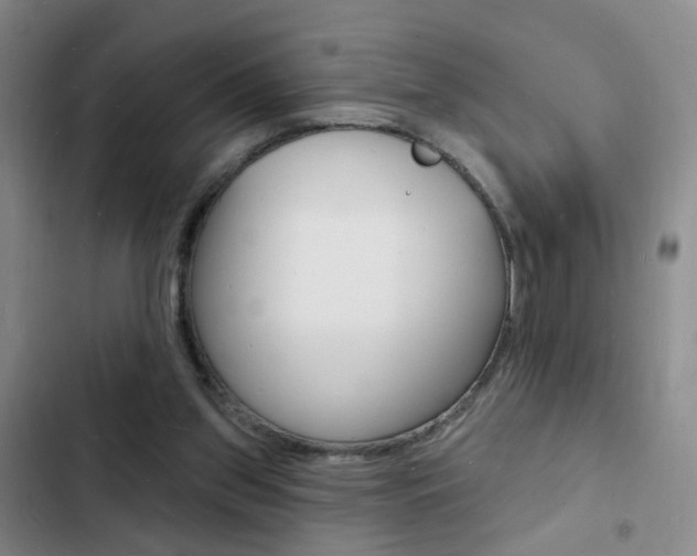 X0000103240157200808281041
