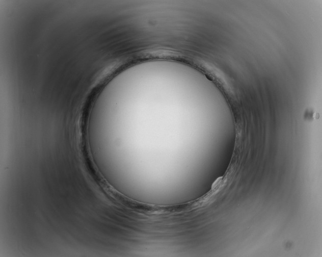 X0000103240158200808281041