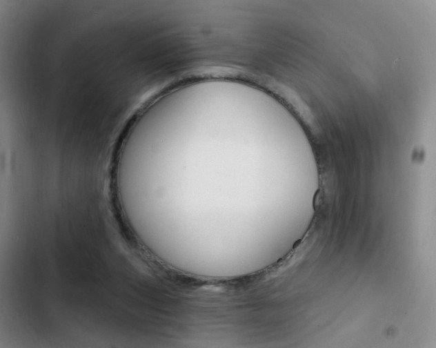 X0000103240159200808281041
