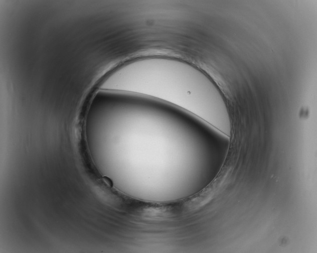 X0000103240160200808281041