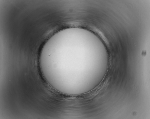 X0000103240161200808281041