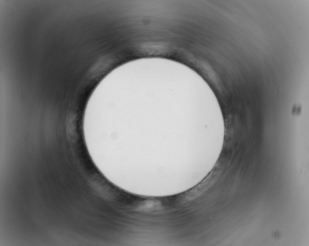 X0000103240162200808281041
