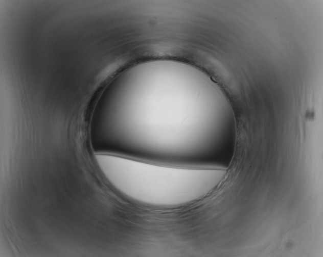 X0000103240164200808281042