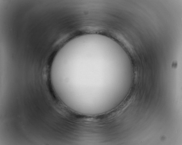 X0000103240165200808281042