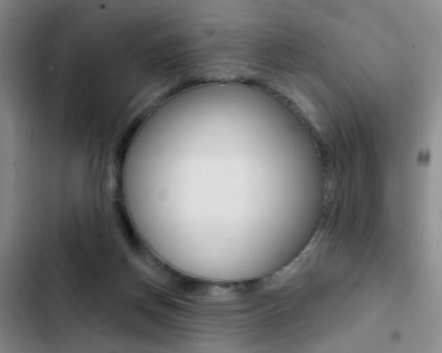 X0000103240166200808281042