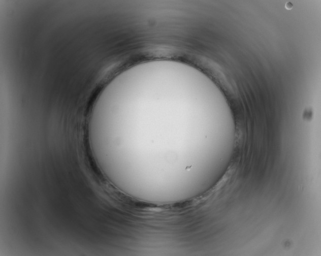 X0000103240167200808281042