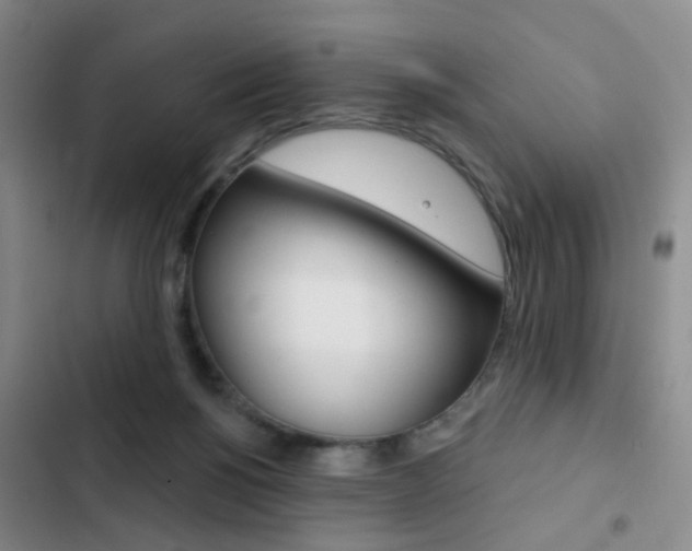 X0000103240168200808281042