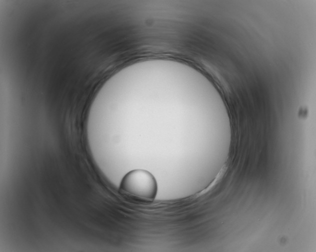 X0000103240170200808281042