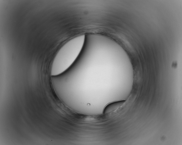 X0000103240171200808281042