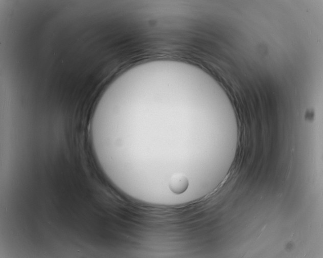 X0000103240172200808281042