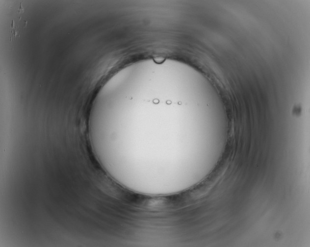 X0000103240173200808281042
