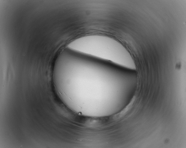 X0000103240174200808281042